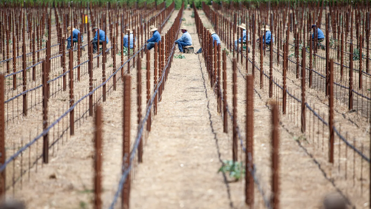 County report highlights increasing shortage of farm labor driven by lack of housing